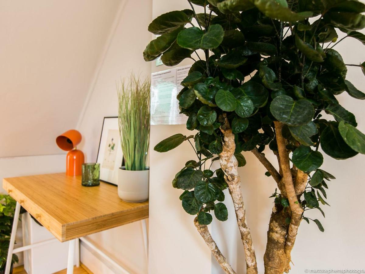 Exquisite 3Bdr Botanical Oasis In Central Hove Exteriér fotografie